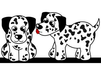 two dalmatian puppies