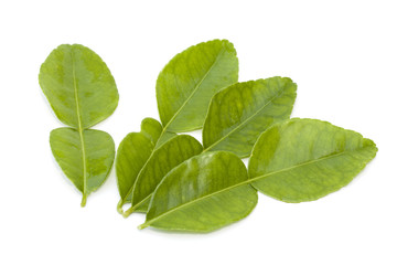 Kaffir lime leaf isolated on the white background