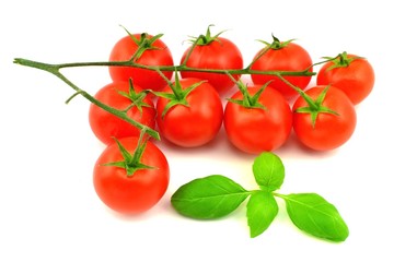 cherry tomatoes