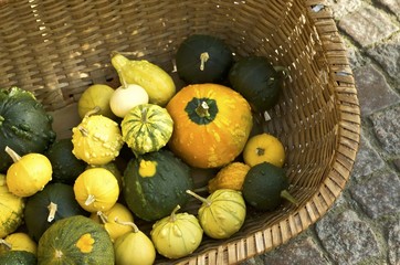 Pumpkin and gourds in weaved basket in fall.
