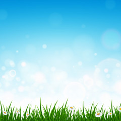 Vector Illustration of a Landscape with Grass