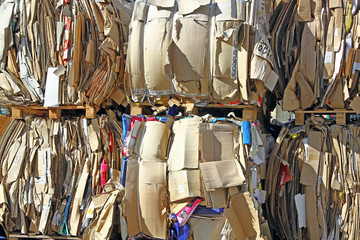 Cartons à recycler