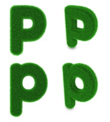 Letter P made of grass