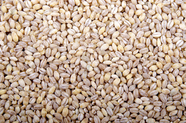 raw organic pearl barley background