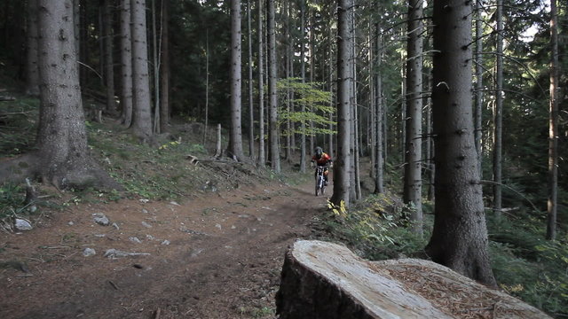 Mountain biker riding in wood