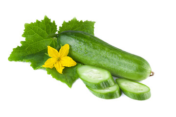 Cucumber isolated