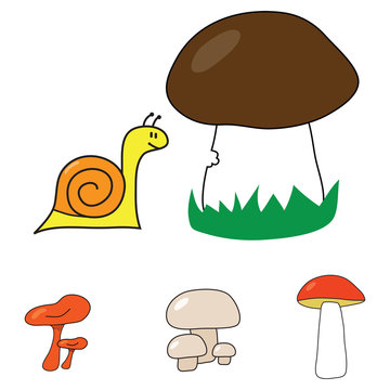Snail and mushroom
