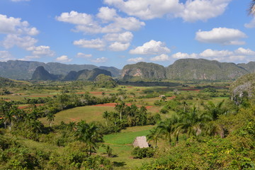 View over Vinales in Cuba - 61488334