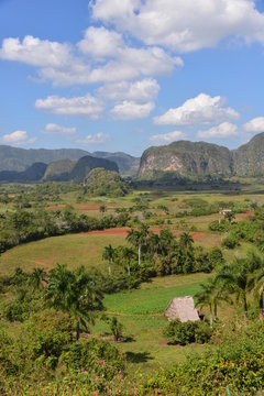View over valley of Vinales in Cuba