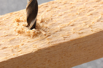 Holzbohrer