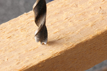 Holzbohrer