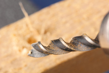 wood drill