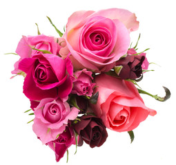 薔薇