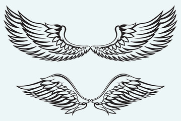 Angel wings isolated on blue batskground