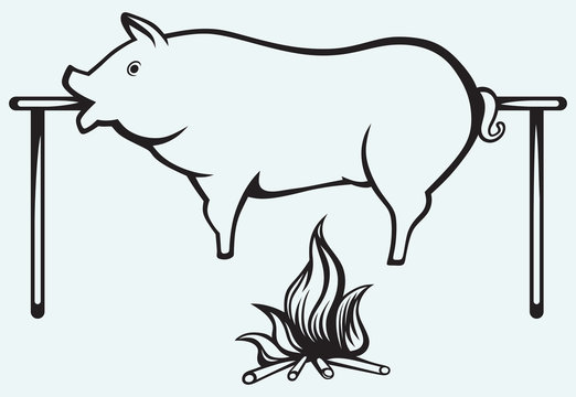 Roasted pig isolated on blue background