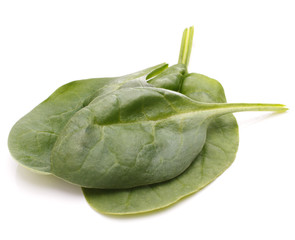 Spinach vegetables   cutout