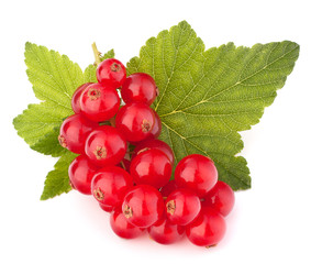 Red currants and green leaves still life