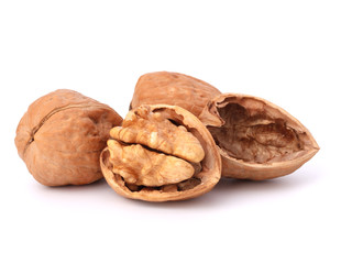 walnut