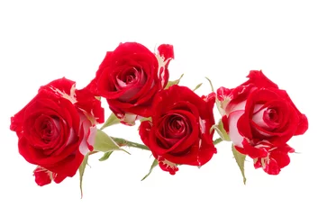 Foto op Aluminium Red rose flower bouquet isolated on white background cutout © Natika