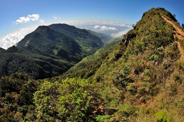 Sri Lanka - Horton Plains World end panorama