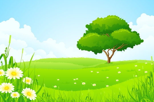 Green Landscape with Tree