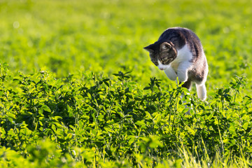 Ziel anvisiert © gonzografie