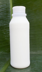 Milk in bottles
