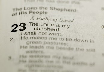 Biblical phrase Psalm 23 in selective close up focus