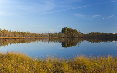 Tranquil scene of a small lake, Dalana, Sweden