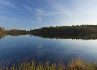 Tranquil scene of a small lake, Dalana, Sweden