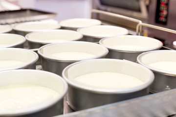 Baking Cake in Springform
