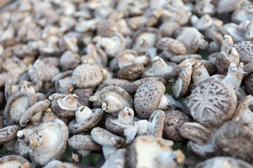 Shiitake Mushrooms