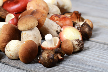 The raw boletus edulis a background
