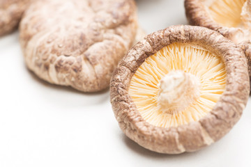 Shiitake Mushrooms
