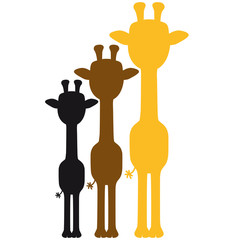 3 Coole Giraffen Umriss Schatten Bunte Farben Design