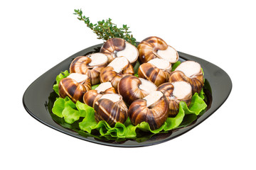 Escargot