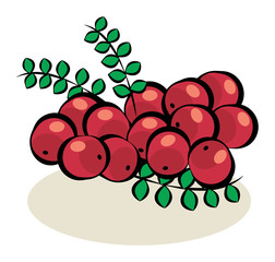 Fruit, Cranberries, vector illustration