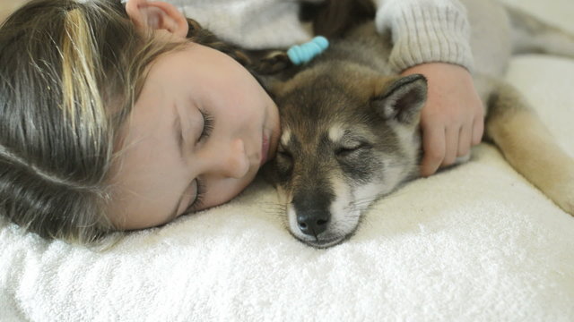 little girl falls asleep hugging a sleeping puppy