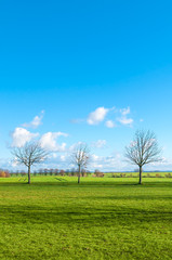 Fototapeta na wymiar Sunny krajobraz z łąki i pola, na początku wiosny