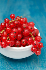 bowl of red currant on a blue wooden background, close-up