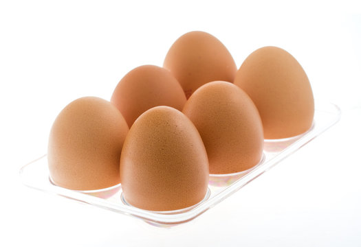Chicken brown eggs