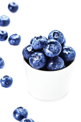 Fresh bilberries in a bowl  isolated on white background close u