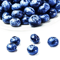 Fresh Blueberries  isolated on white background macro. Blueberry