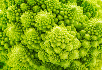 Beautiful closeup background of Romanesco spiral broccoli