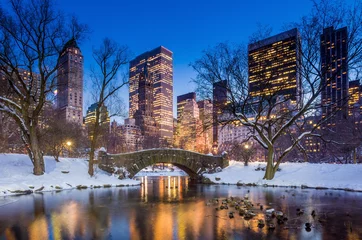 Deurstickers Central Park Gapstow-brug in de winter, Central Park