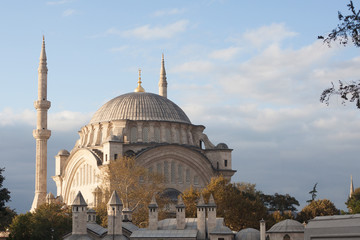 Fototapeta na wymiar mosque in Istanbul, Turkey