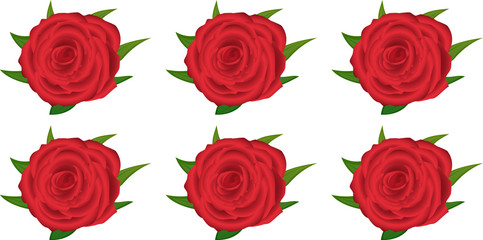 wallpaper pattern with of red roses on white background