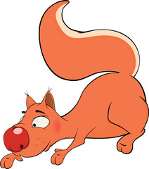 The squirrel is cheerful cartoon