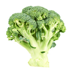 Green broccoli isolated