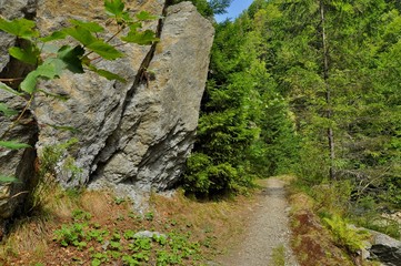 Footpath through river valey